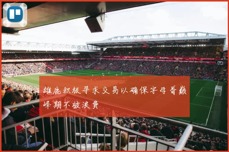 雄鹿积极寻求交易以确保字母哥巅峰期不被浪费